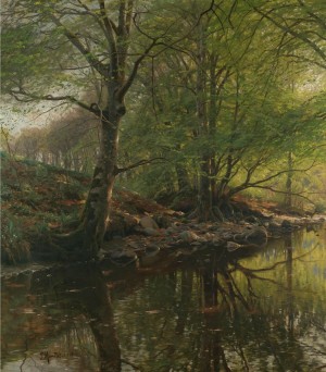 Landscape along a stream with clear water